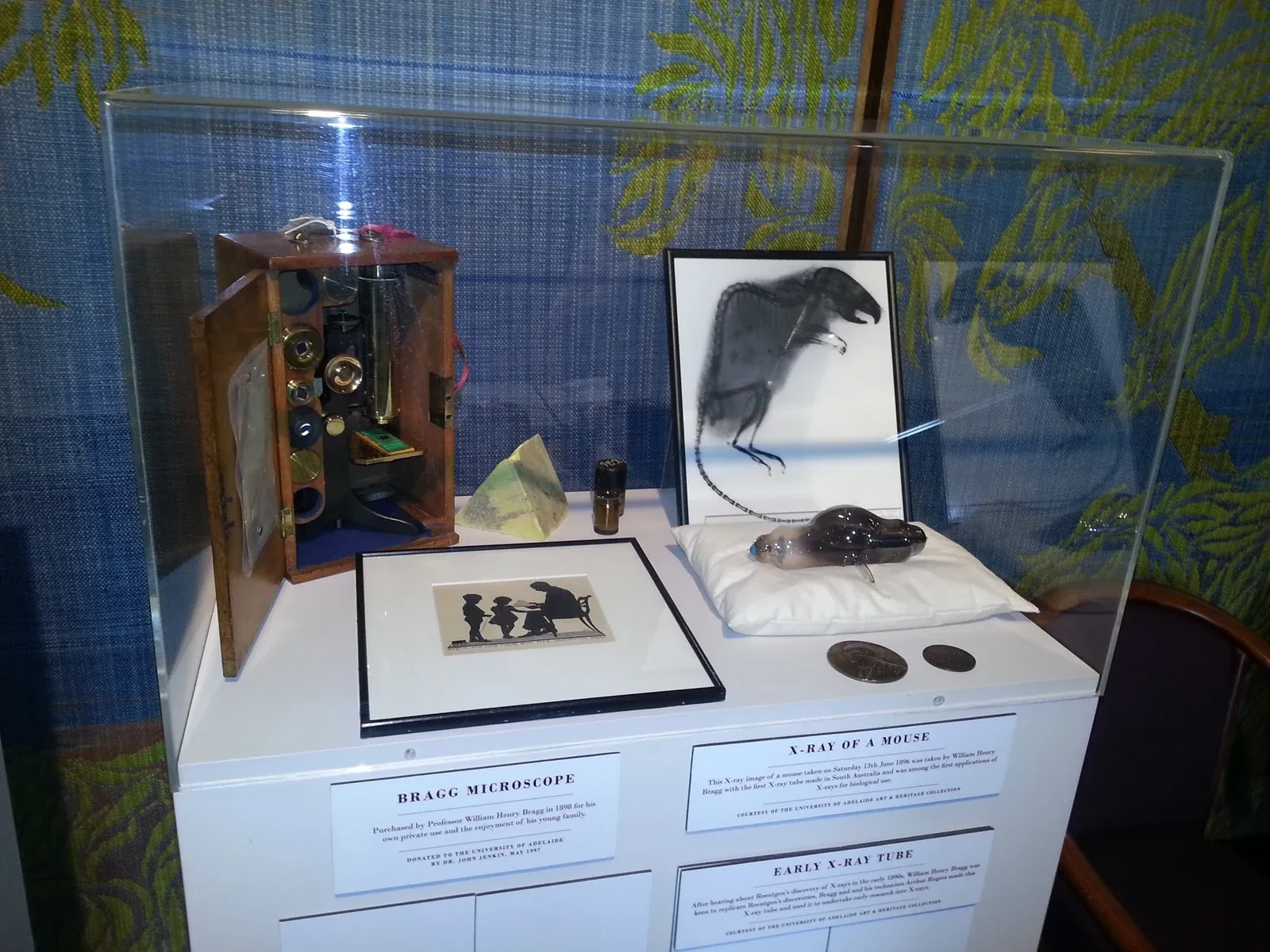 O microscópio de William Henry Bragg, o tubo de raios X que construiu com Arthur Rogers e a sua radiografia de um rato, de 1896, Adelaide, Dezembro de 2012
